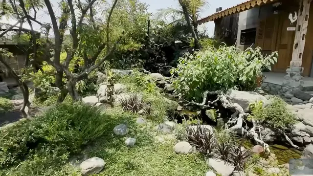 Model Kolam di Taman Rumah Soimah