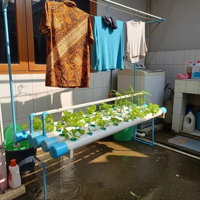 9 Ide Hidroponik di Area Jemuran, Ruang Sempit Jadi Lebih Produktif
