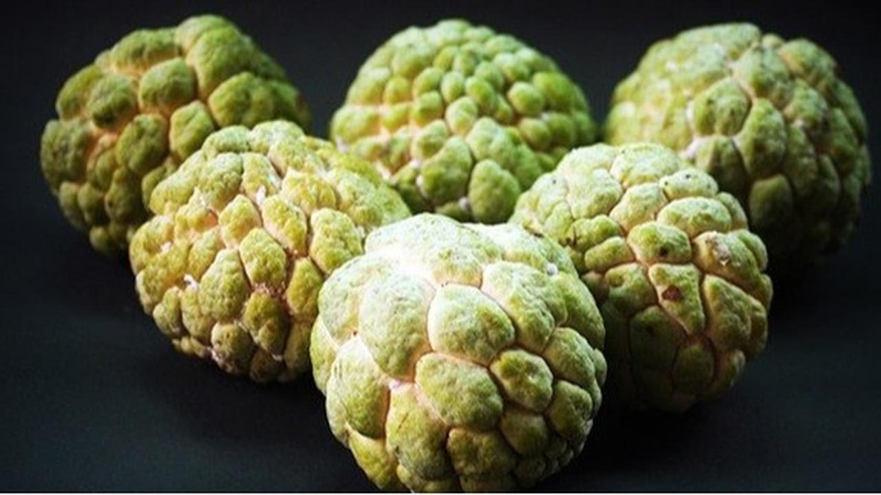 Manfaat Luar Biasa Buah Srikaya untuk Kesehatan Tubuh, Sudah Coba?