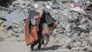 Sementara itu, di wilayah Gaza selatan, militer Israel menyerukan evakuasi bagi warga Palestina di sekitar kota Khan Yunis menjelang apa yang disebut sebagai serangan yang belum pernah terjadi sebelumnya. (Bashar TALEB/AFP)
