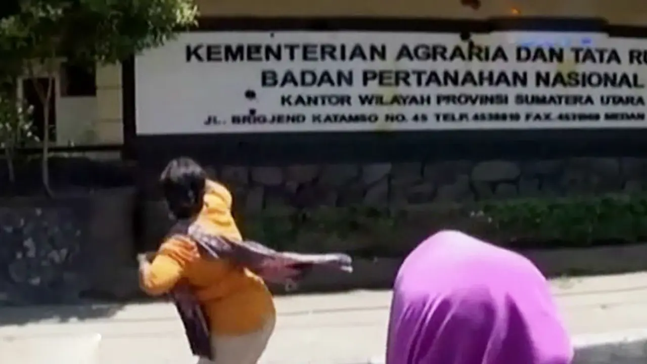 (Lip6 Malam) Demo-BPN