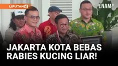 Pramono Anung Resmi Diangkat Jadi Bapak Proklamator Kucing
