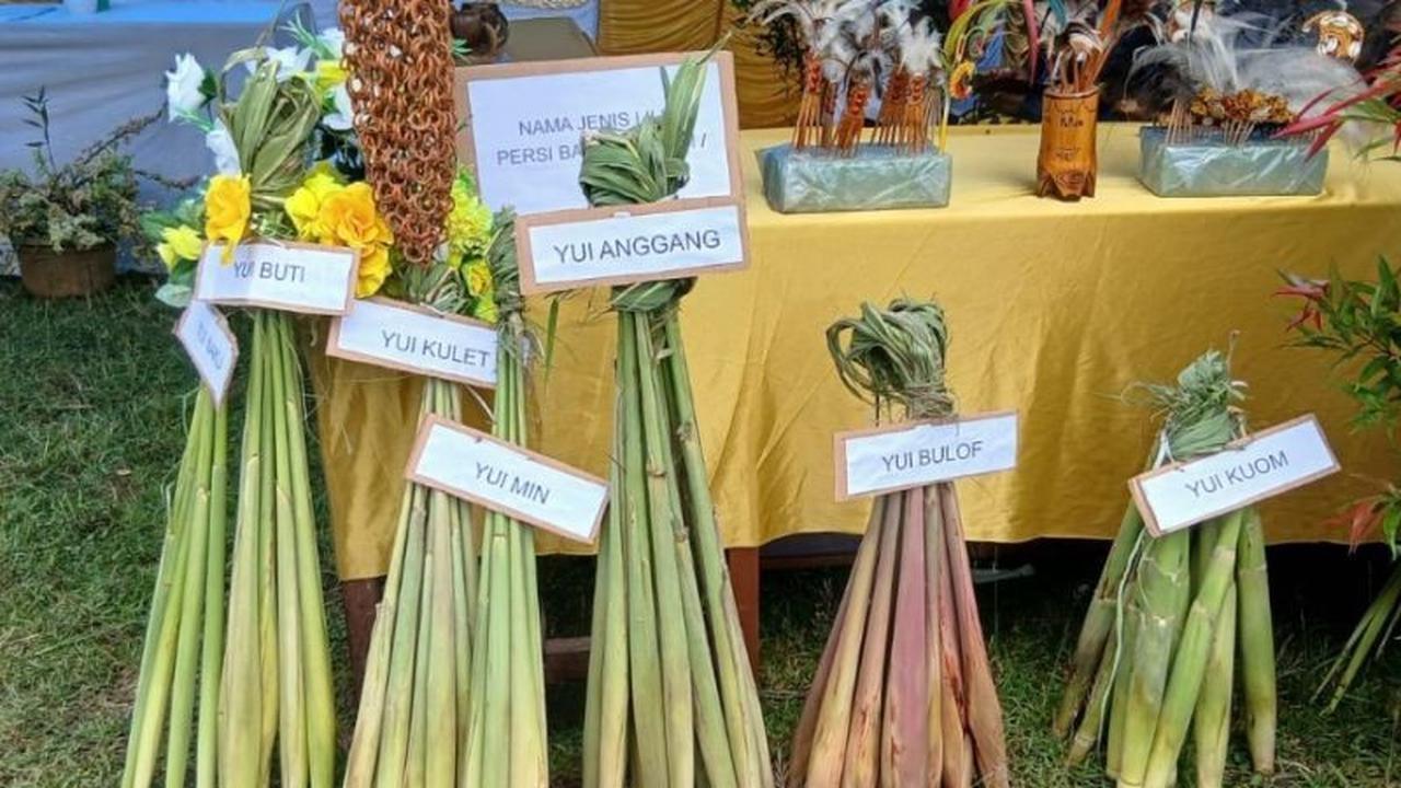 Pemkab Jayapura Gencarkan Pelestarian Pangan Lokal, Dorong Ekonomi UMKM Melalui Festival