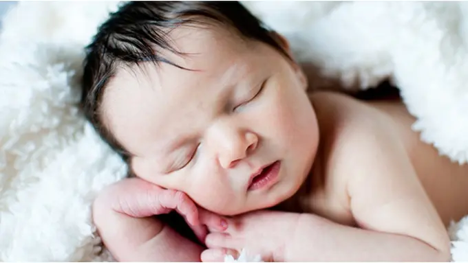 copyright by Shutterstock.com