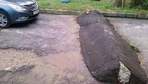 Polisi tidur (Sumber: Instagram/wkwklan_real)