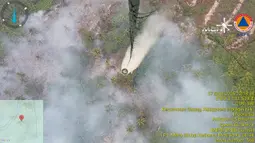 BNPB Ungkap Kendala Pemadaman Kebakaran Hutan dari Udara