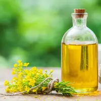 ilustrasi manfaat dan cara menggunakan minyak kanola/Chamille White/shutterstock