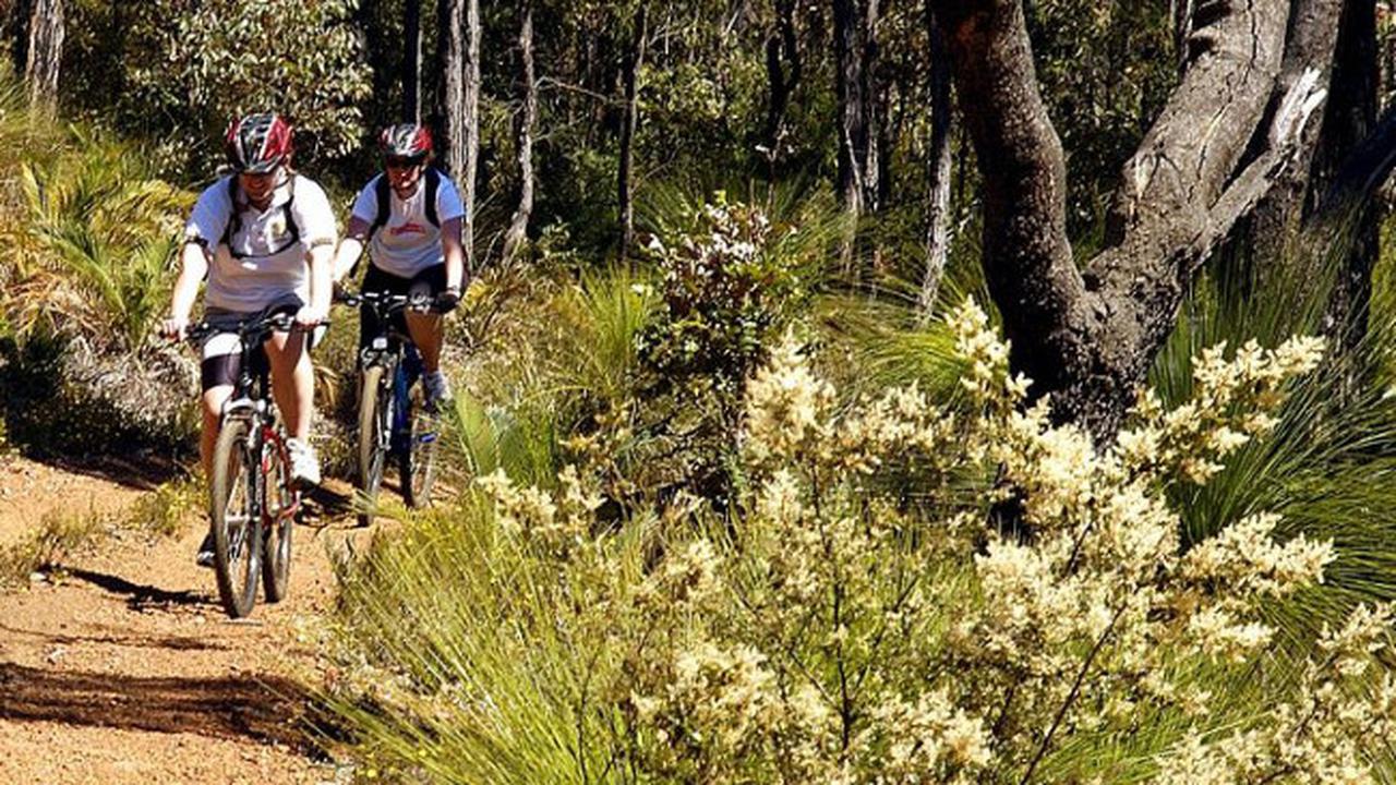 The Munda Biddi Trail - Australia 1