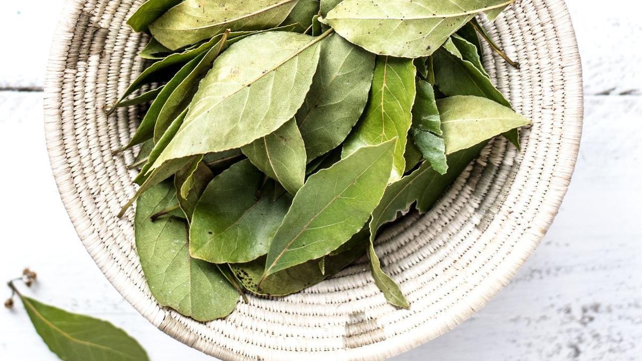 Manfaat Daun Salam untuk Merebus Daging Sapi<br>