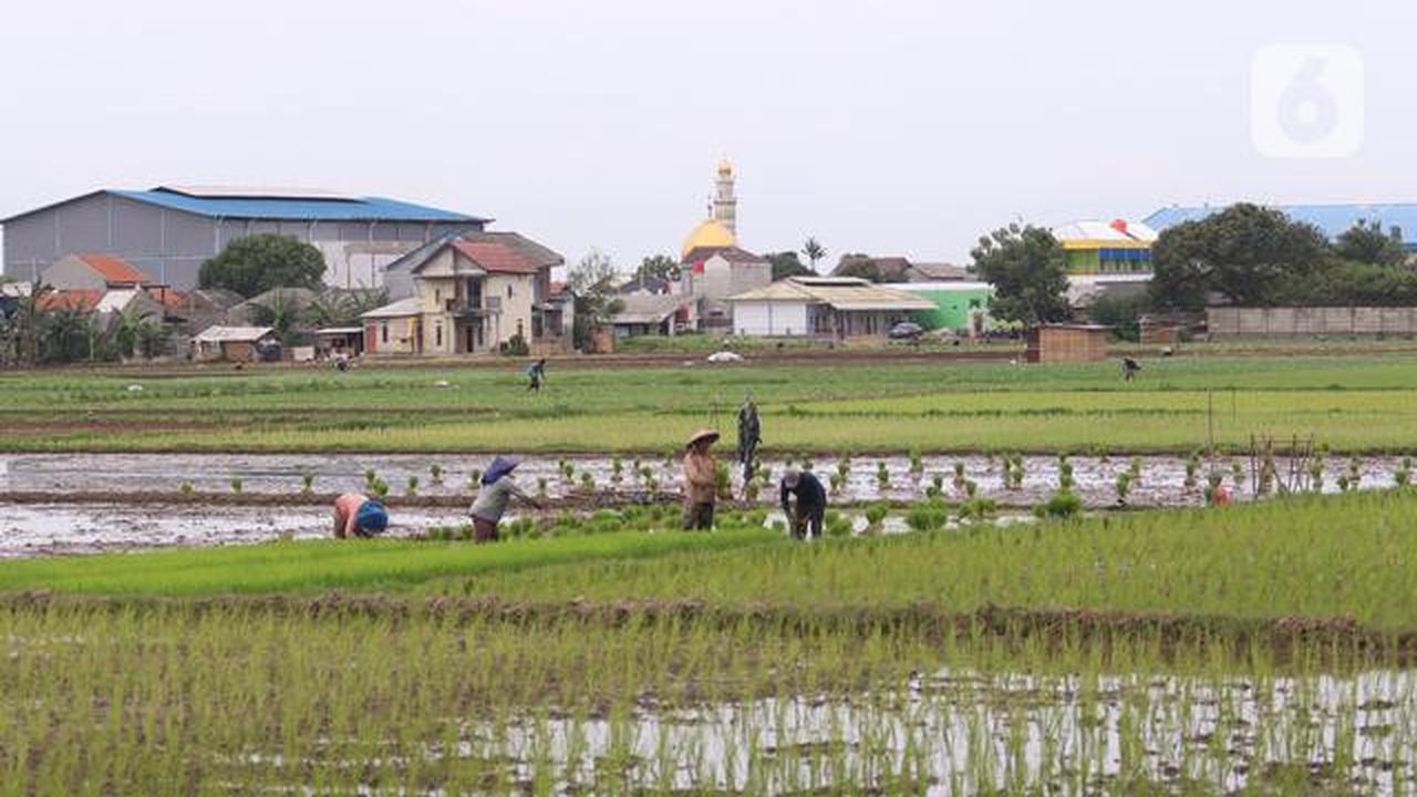 Bahaya Pangan Tak Aman, Indonesia Terancam Rugi Rp 30 Triliun per Tahun
