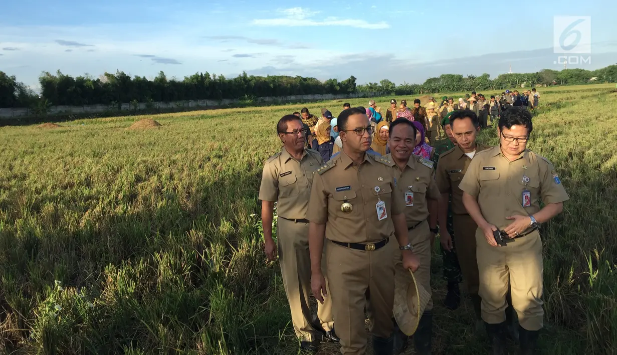 Gubernur DKI Jakarta, Anies Baswedan didampingi oleh Wali Kota Jakarta Timur Bambang Musyawardhana menyambangi area pertanian di Jalan Inspeksi Sisi Timur Banjir Kanal Timur (BKT), Cakung, Jakarta Timur, Selasa (23/1). (Liputan6.com/Devira Prastiwi)