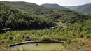 Beruang cokelat Mira mendinginkan diri di kolam air di Bear Sanctuary Pristina, dekat ibu kota Pristina, Kosovo, Kamis (8/7/2021). Warga di Eropa timur yang tidak terbiasa dengan suhu tinggi sedang berjuang untuk mengatasi gelombang panas yang melanda seluruh wilayah. (AP Photo/Visar Kryeziu)