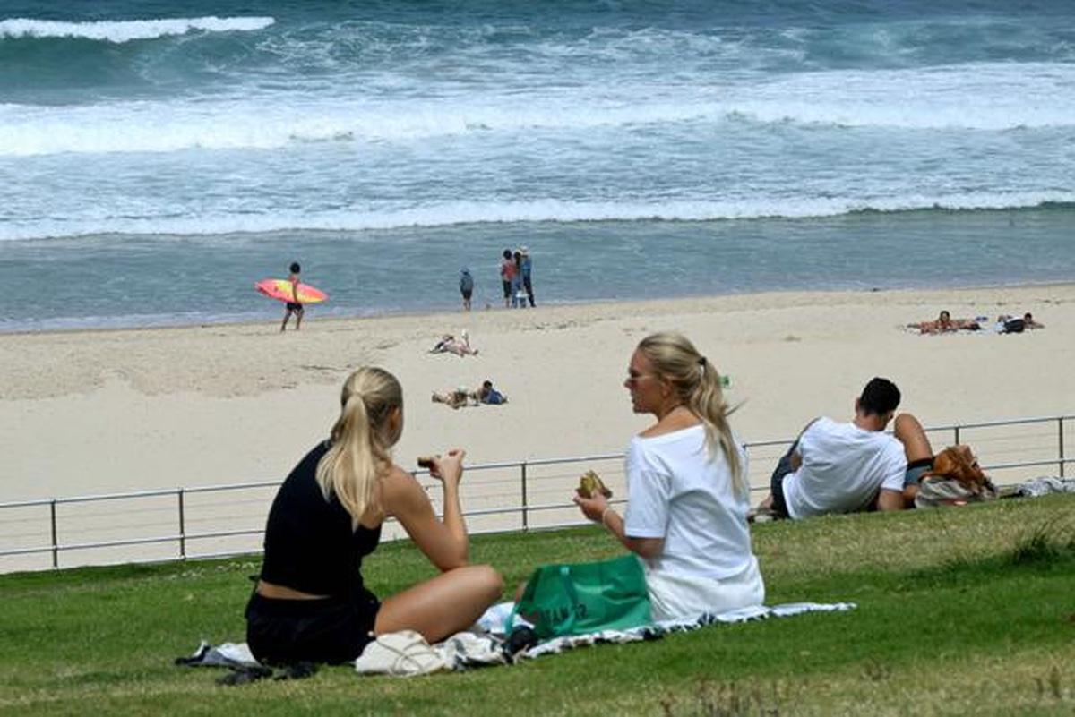 Naveed Akram Hadapi 15 Dakwaan Pembunuhan Terkait Penembakan Massal Bondi Beach