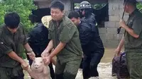 Babi ini tersenyum saat dievakuasi banjir bandang melanda distrik Yibin, China (Weibo)