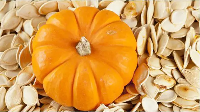 Foto: copyright Shutterstock.com