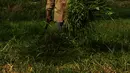 Suwandi (80) mencari rumput di perkebunan Kalimalang, Jakarta, Jumat (4/1). Suwandi mencari rumput untuk makan ternak sapi dengan upah Rp 5000 per ikat. (Merdeka.com/Imam Buhori)