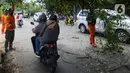 Petugas membantu pengendara motor melewati pohon yang hampir tumbang dan melintang di Jalan Raya Pondok Cabe, Tangerang Selatan, Banten, Sabtu (21/1/2023). Pohon ceri tersebut hampir tumbang awalnya disebabkan adanya perbaikan kabel telekomunikasi yang ditinggalkan begitu saja oleh teknisi. (merdeka.com/Arie Basuki)