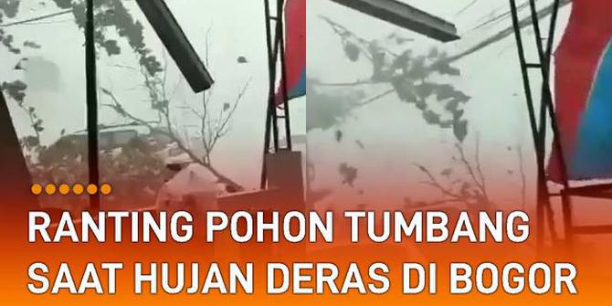 VIDEO: Ngeri, Ranting Pohon Tumbang Saat Hujan Deras di Bogor