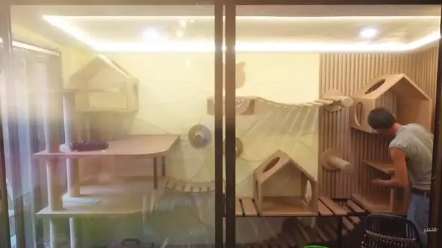 Kandang Kucing di Rumah Salshabilla Adriani dan Ibrahim Risyad (Foto: Salshabilla TV)