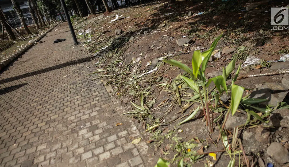 Tanaman yang menjadi korban dari injakan kaki sederet oknum suporter Final Piala Presiden 2018 di luar Stadion Utama GBK, Jakarta, Minggu (18/2). Kejadian ini amat disayangkan, mengingat GBK baru saja menyelesaikan renovasi. (Liputan6.com/Faizal Fanani)