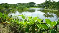 Hutan Pakal, Surabaya, Jawa Timur (Foto:Liputan6.com/Dian Kurniawan)