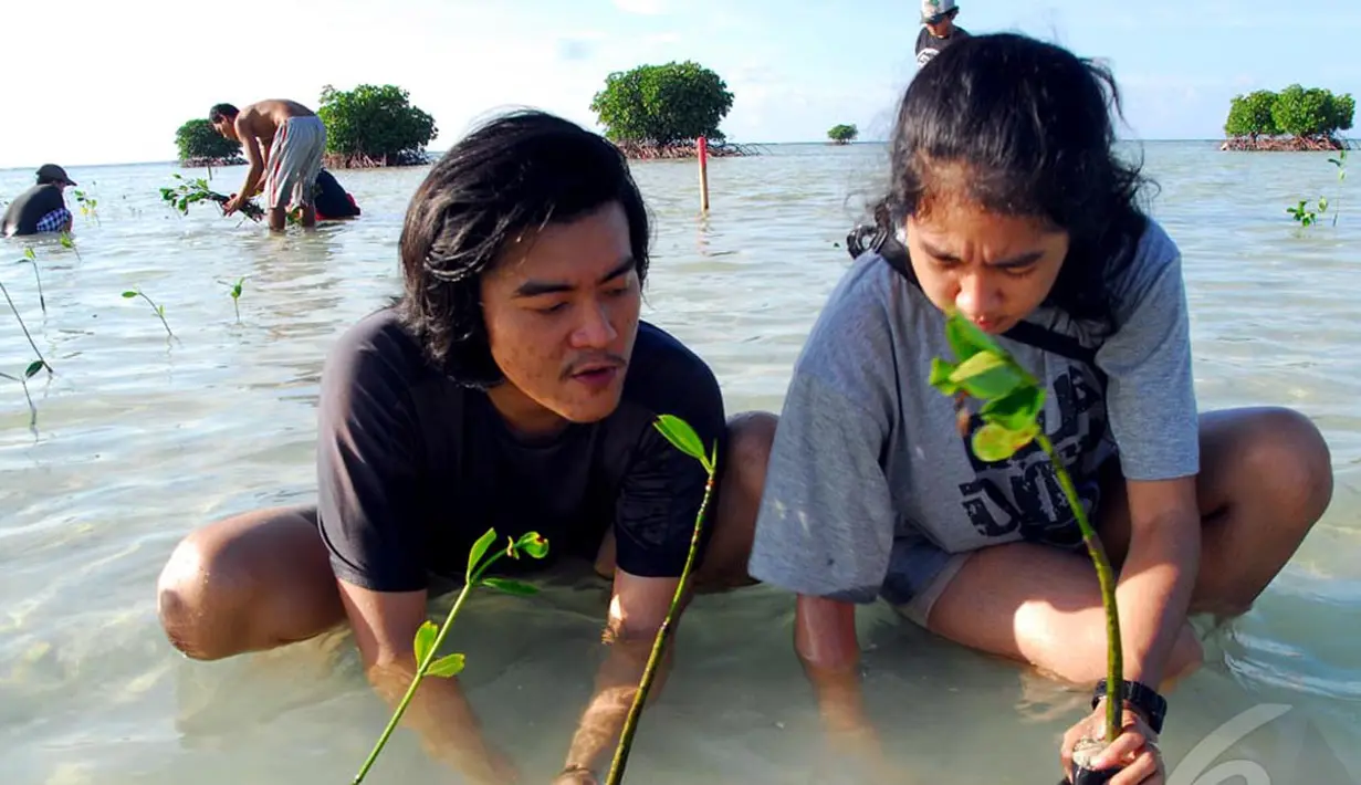 Tumbuhan mangrove diyakini mampu mencegah abrasi sekaligus bisa menjadi tempat ikan untuk berkembangbiak, Kepulauan Seribu, Jakarta Utara, Sabtu (3/5/2014) (Liputan6.com/Miftahul Hayat).