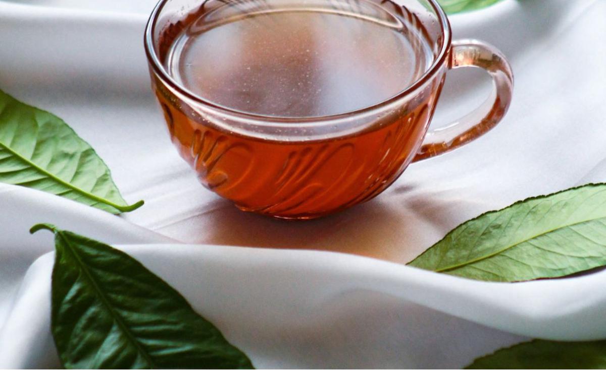4 Macam Teh Herbal Ini Bisa Tingkatkan Kekebalan Tubuh