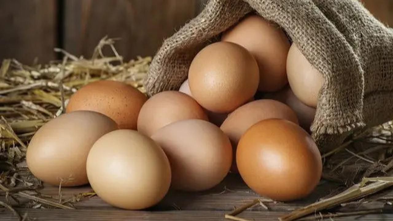 Resep Menu Makanan Tinggi Protein yang Rendah Kolesterol