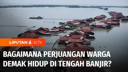 VIDEO: Tiga Tahun Demak Terendam Banjir Rob, Bagaimana Perjuangan Warga Hidup di Tengah Banjir?