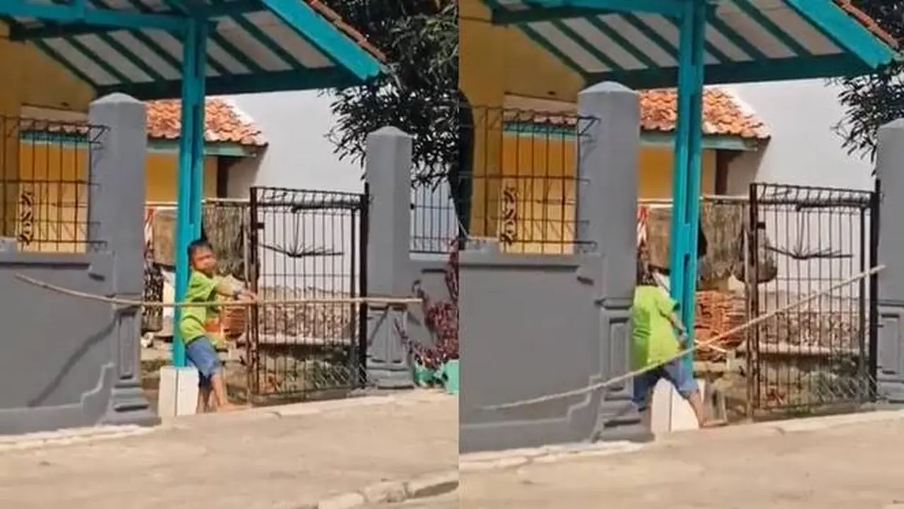 Viral, Bocah Kesulitan Masukan Bambu Lewat Gerbang Rumah Ini Bikin Geregetan