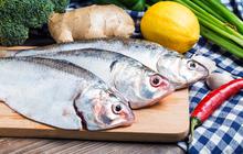 Cara Menyimpan Ikan di Kulkas agar Tidak Bau, Ikuti 7 Langkah Ini