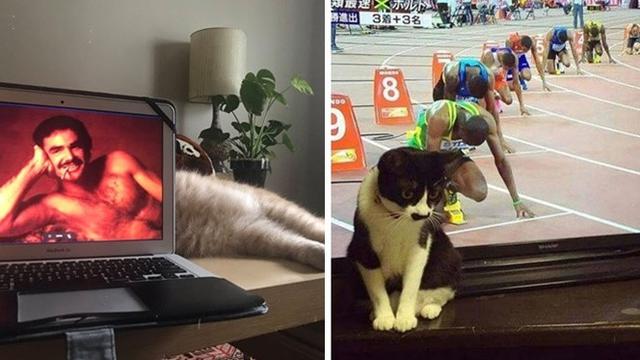 Berkat Timing yang Pas, 7 Foto Ini Terlihat Menarik Banget