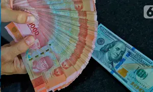 Pegawai memperlihatkan mata uang rupiah di salah satu gerai penukaran mata uang di Jakarta, Kamis (5/1/2023). Mengutip data Bloomberg pukul 15.00 WIB, rupiah ditutup turun 0,22 persen atau 34 poin ke Rp15.616,5 per dolar AS. Hal tersebut terjadi di tengah penguatan indeks dolar AS 0,16 persen ke 104,41. (Liputan6.com/Angga Yuniar)