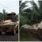 Netizen dihebohkan dengan video buaya mati diangkut buldozer. (Sumber: Vidio)