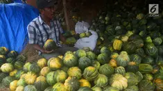 Pedagang menyortir buah blewah di Pasar Induk Kramat Jati, Jakarta, Kamis (24/5). Harga buah blewah selama bulan suci Ramadan masih stabil dan dijual dengan harga Rp 7.000 per Kg.  (Merdeka.com/Imam Buhori)