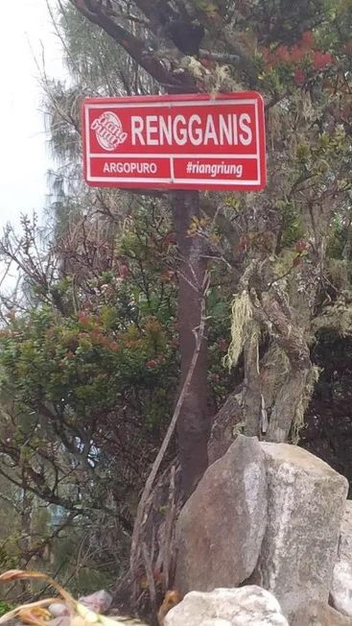 1. Asal-usul Puncak Rengganis di Argopuro