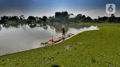 Warga menjala ikan pada bagian situ yang dipenuhi gulma di Situ Tujuh Muara, Depok, Jawa Barat, Senin (20/9/2021). Situ Tujuh Muara yang awalnya luasnya 30 hektar kini menyusut 24 hektar dengan sebagian sisinya dipenuhi tanaman gulma dan endapan lumpur. (merdeka.com/Arie Basuki)