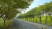 Djarum Foundation melalui program Djarum Trees For Life (DTFL) bekerja sama dengan PT Jasa Marga (Persero) Tbk akan memasang 5.000 pohon di ruas tol Gempol - Pasuruan.