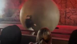 Aksi heroik staf Disney World menghentikan batu palsu seberat 180 kg agar tidak menghantam penonton. (dok. tangkapan layar video TikTok @dumb_blonde11/https://www.tiktok.com/@dumb_blonde11/video/7589804189245574431)