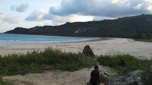 Pariwisata