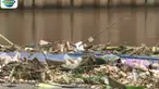 Selain sampah rumah tangga, sampah yang menumpuk di Kanal Banjir Barat adalah tumpukan bambu dan kayu.