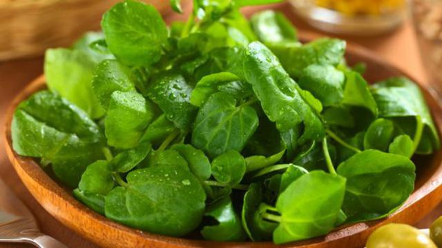 Selada Air, si Pengusir Kanker