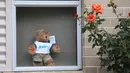 Boneka beruang terlihat di ambang jendela di Canberra, Australia (30/3/2020). Masyarakat di Australia melakukan inisiatif berburu boneka beruang dan mainan lainnya di jendela, pohon, dan balkon untuk memberikan kejutan social distancing terutama anak-anak selama pandemi COVID-19. (Xinhua/Chu Chen)