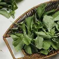 Ilustrasi sayur bayam. (Copyright: shutterstock.com/Kristanti)