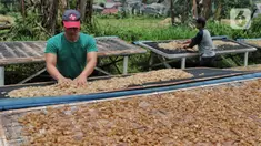 Pekerja menjemur kulit sapi untuk pembuatan kerupuk kulit produksi rumahan di Katulampa, Bogor, Jawa Barat, Sabtu (17/9/2022). Penyaluran kredit usaha rakyat (KUR) makin membesar tahun depan.  Pemerintah akan menaikkan target penyaluran KUR menjadi Rp 460 triliun di 2023. (Liputan6.com/Angga Yuniar)