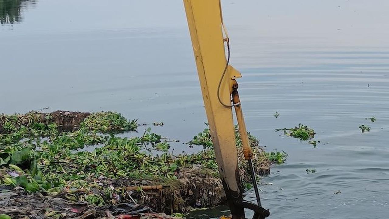 Dari pantauan Merdeka.com, tanaman eceng gondok memenuhi sebagian waduk warisan Jokowi yang luasnya 80 hektare.