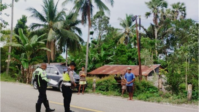 Kecelakaan Maut di NTT: Bus Timor Leste Renggut Nyawa Bayi 1 Tahun
