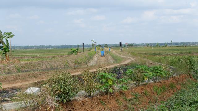 Irigasi dari Bendung Manganti