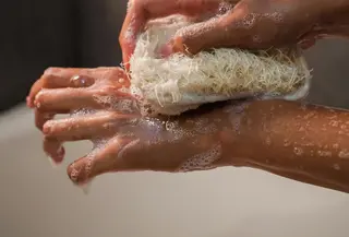 Loofah atau sponges. (c) Pexels/Greta Hoffman