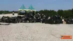 liputan6